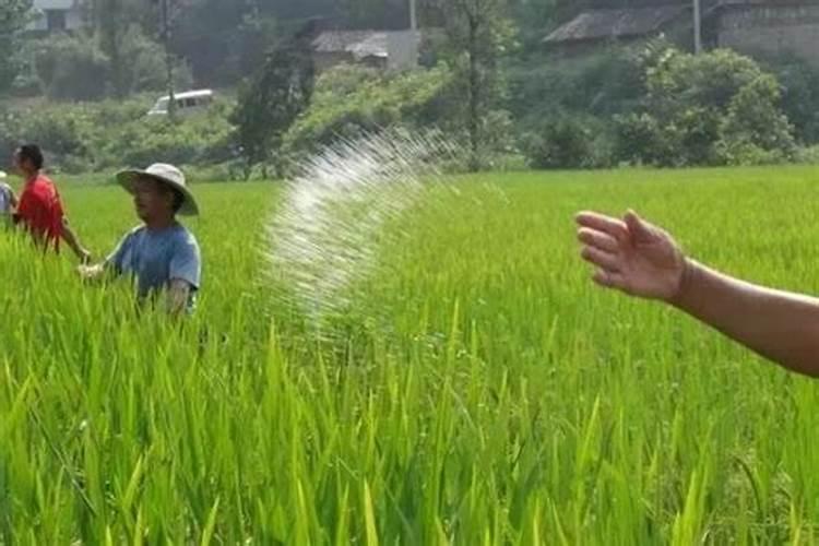 钾肥多了怎么挽救