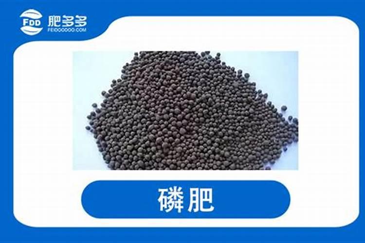 大樱桃喷施硼肥间隔多少时间最好？