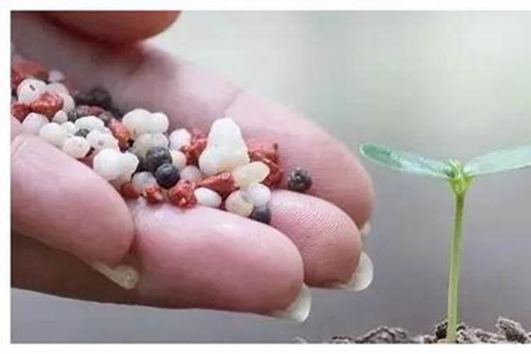 氮肥磷肥钾肥作用口诀