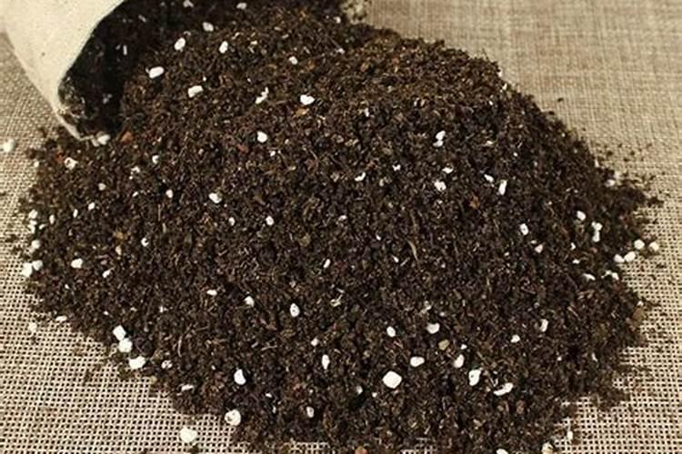 全国最大腐植酸生产厂家