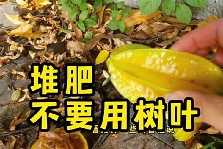 板栗树叶能做花肥吗 板栗树叶能不能做花肥