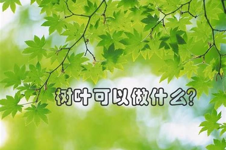 腐烂的树叶,可以直接拌土里去吗？