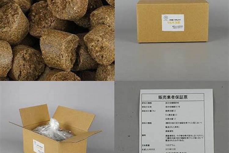 多肉施什么肥料最好