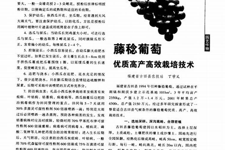 藤稔葡萄膨大剂 怎么配？配方是什么？
