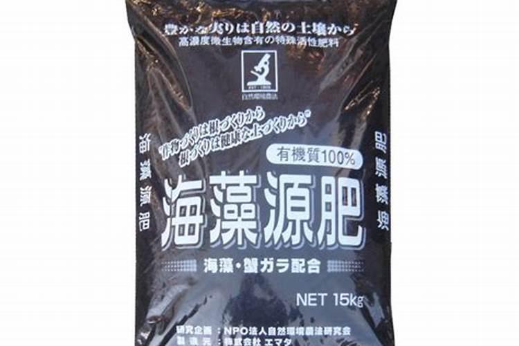 海藻肥的功效与作用