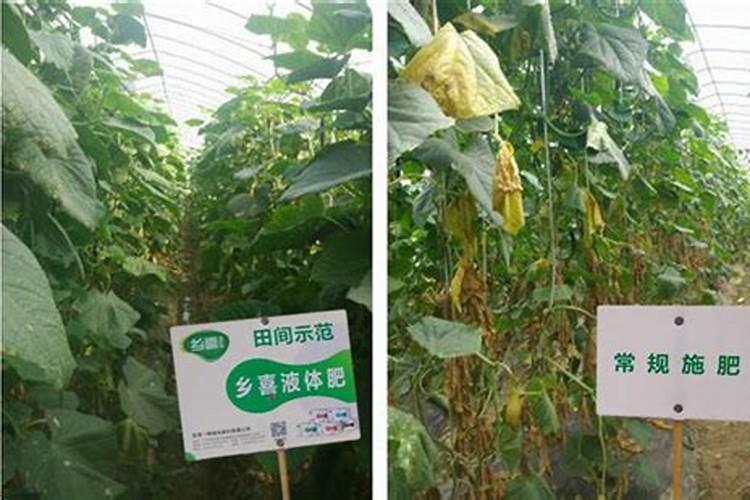 据说除香烟以外利润排第二的就是复合肥,这是真的吗？
