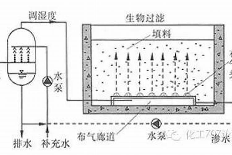 鱼蛋白的制作方法