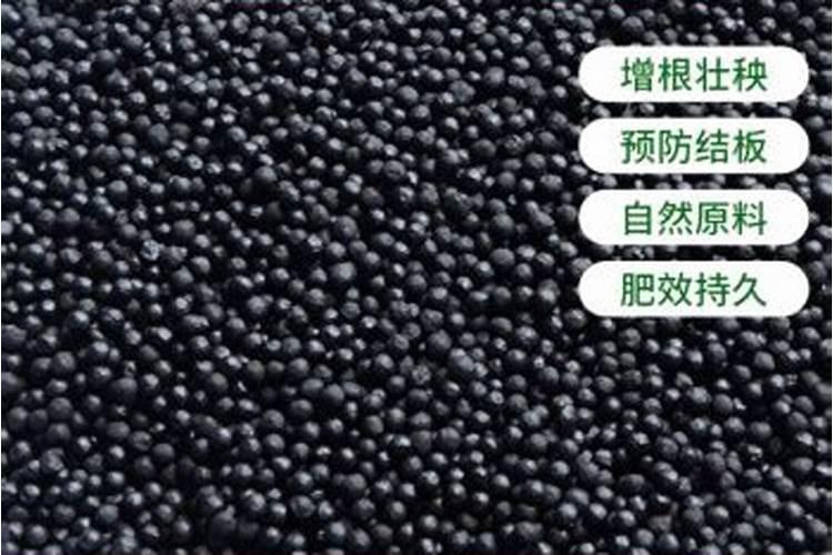 磷酸二氢钾浇兰花怎样兑水