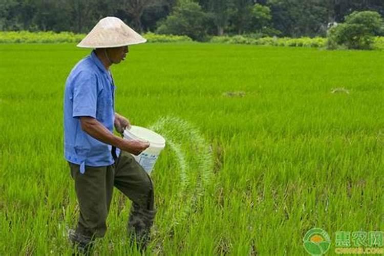 磷肥和钾肥混着用好吗？磷肥钾肥混用注意事项