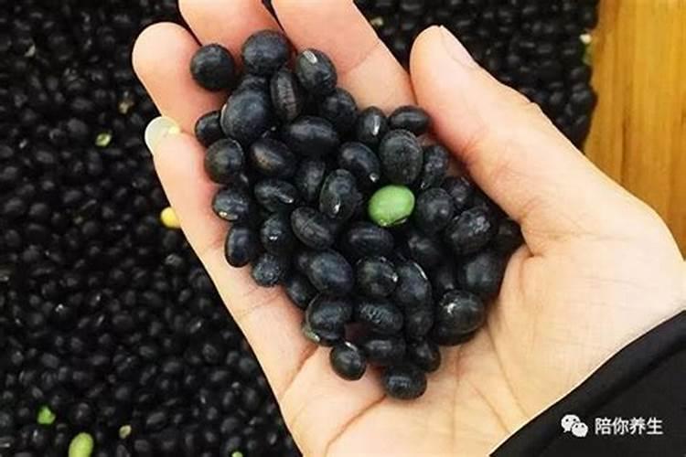 黑豆能做花肥吗 黑豆可以当肥料养花吗