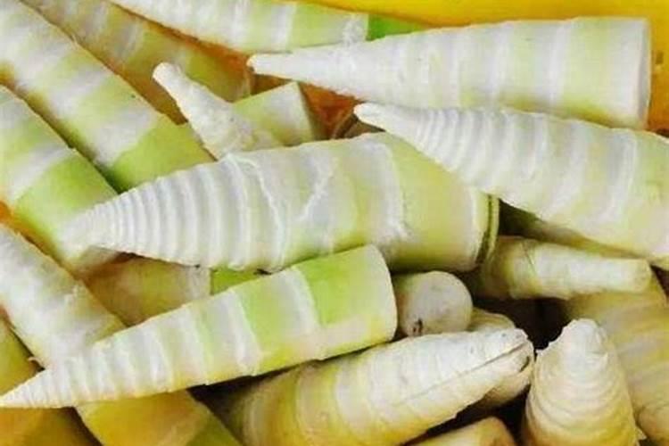 西牛麻竹笋技术要求
