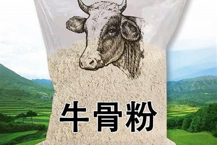 骨粉是什么肥料？