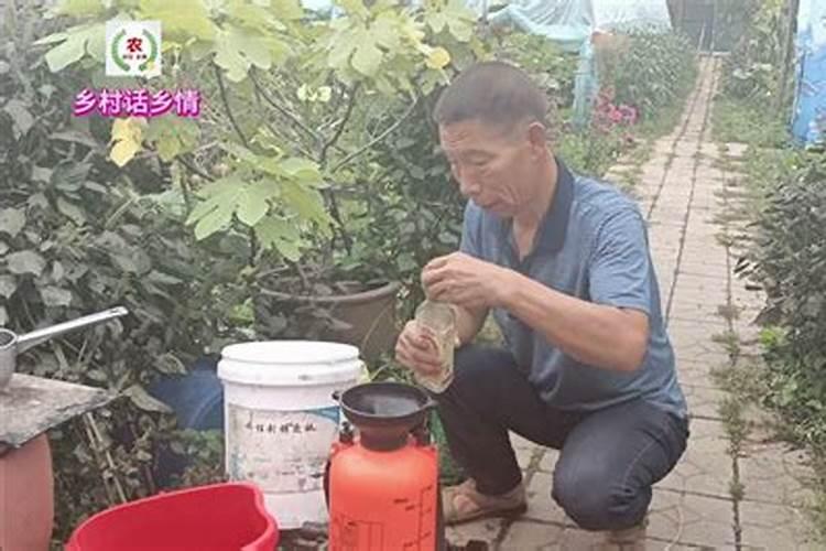 磷酸钾是什么肥料 磷酸钾和磷酸二氢钾有什么区别