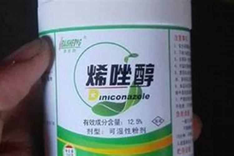 蔬菜徒长危害大,如何才能有效防徒长？