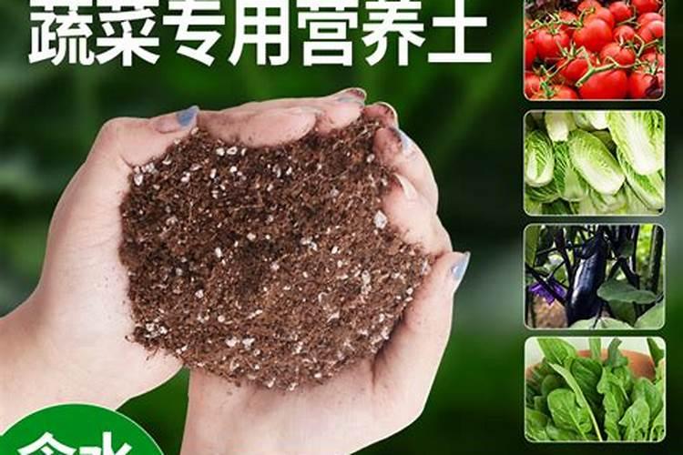 用营养土种疏菜用要施肥吗