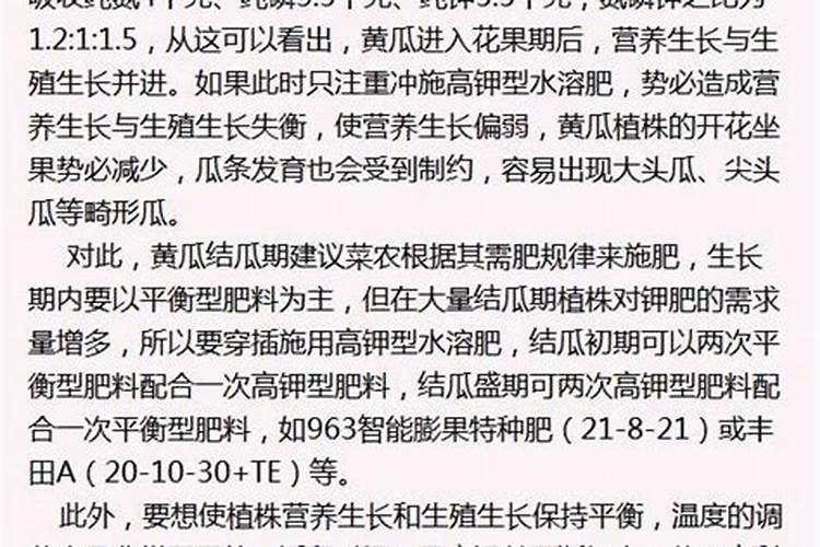 黄瓜地钾肥过高对瓜条有什么影响