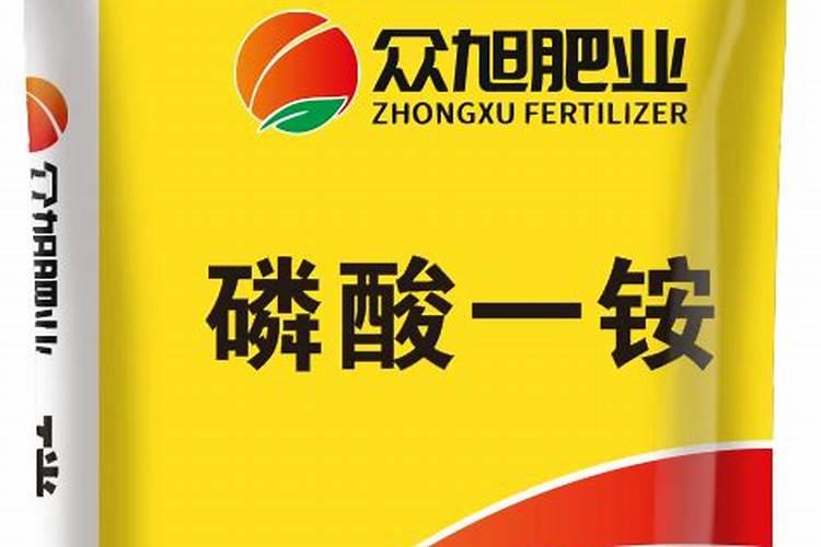 湖北销售大蒜货源推荐