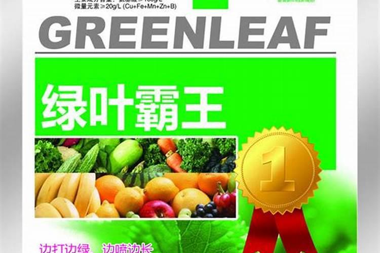 盆栽观叶植物怎样施叶面肥？