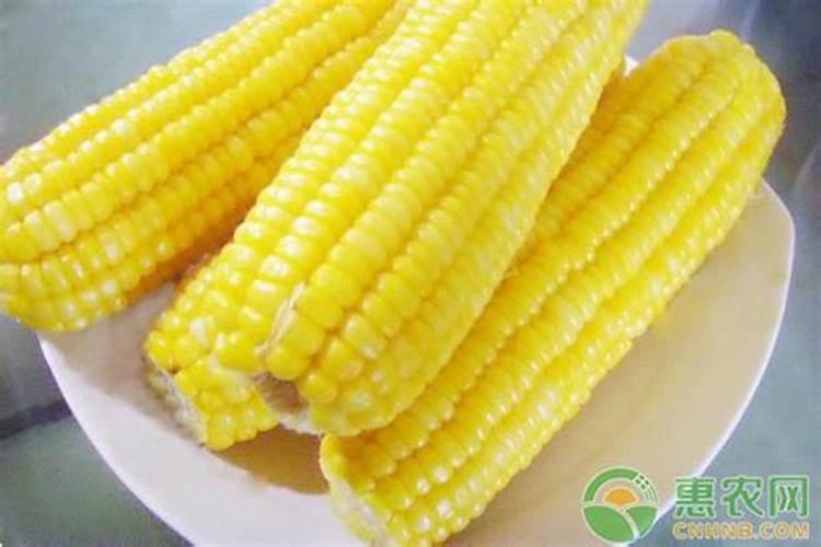 玉米专用肥料什么品牌的好？