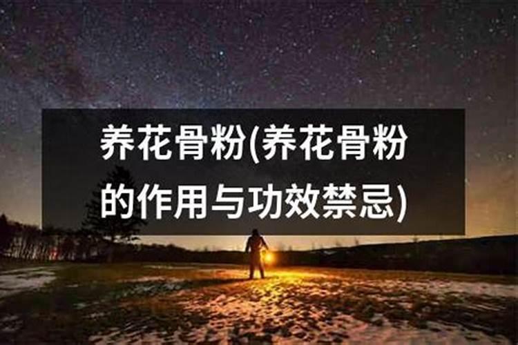 兰花怎样施骨粉
