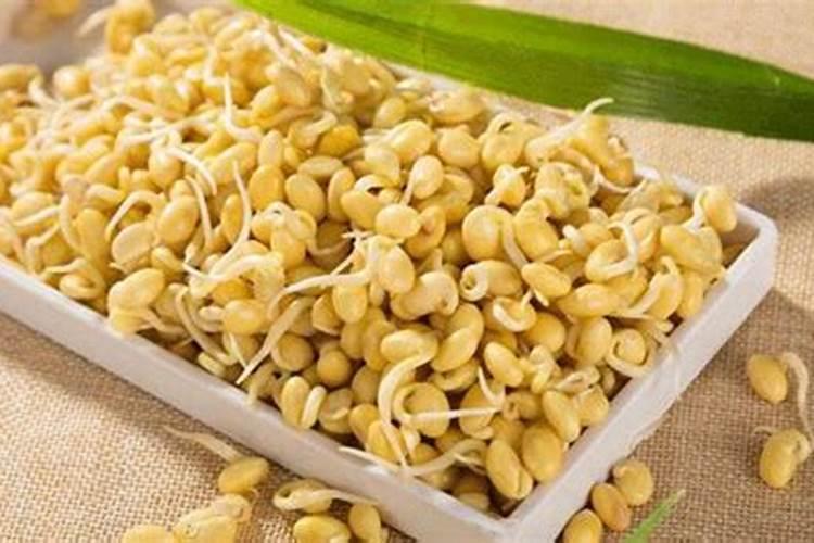 黄豆做肥料注意的事项怎么正确制作花肥黄豆制作花肥的方法