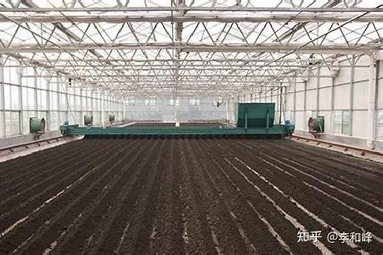 南方樱桃花期能不能喷磷酸二氢钾、糖醇钙和流体硼？
