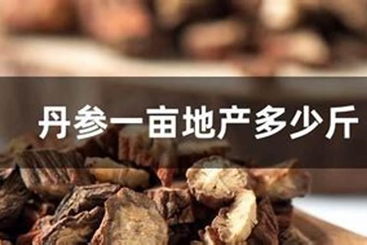 丹参如何种植