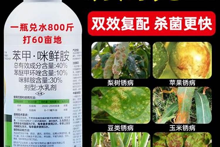 防治锈病有哪些好药