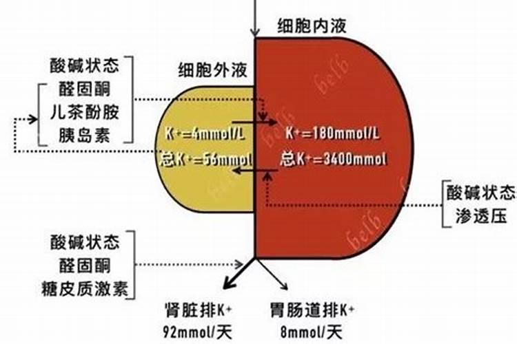 钾肥对植物的作用