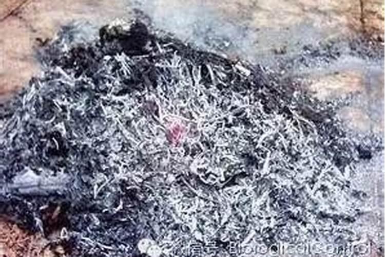 家庭怎样自制氮磷钾肥