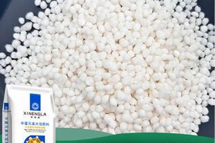 下着小雨葡萄可以施肥吗