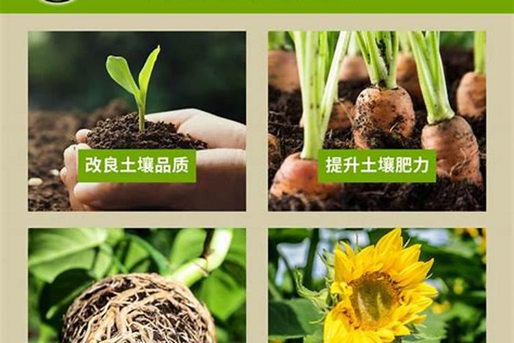 花卉专用肥料