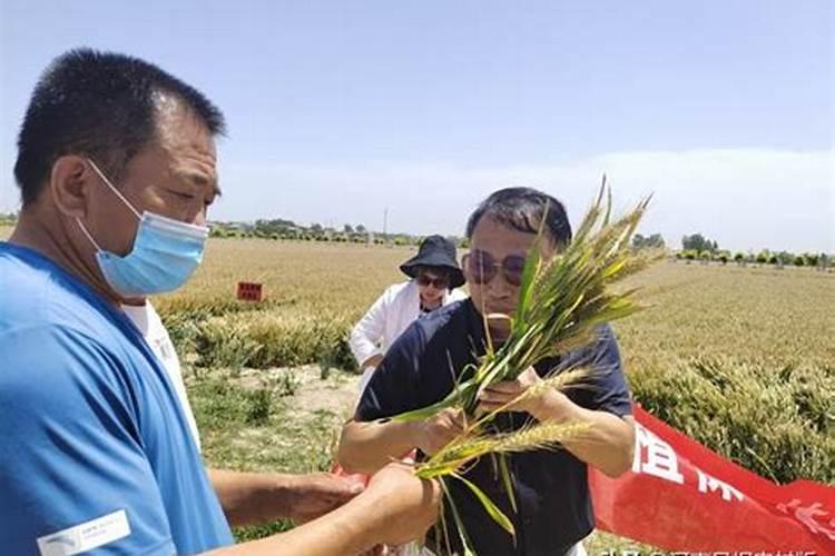 复合肥如何给植物使用