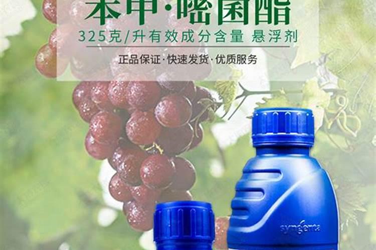 先正达最新杀菌剂有哪些