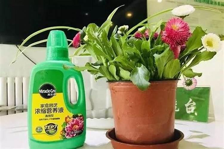 氮肥和磷肥还有钾肥,哪一种肥料对植物的生长好处最大呢