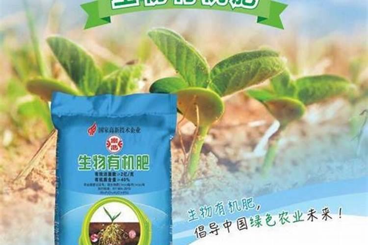 西红柿膨果慢的原因是什么