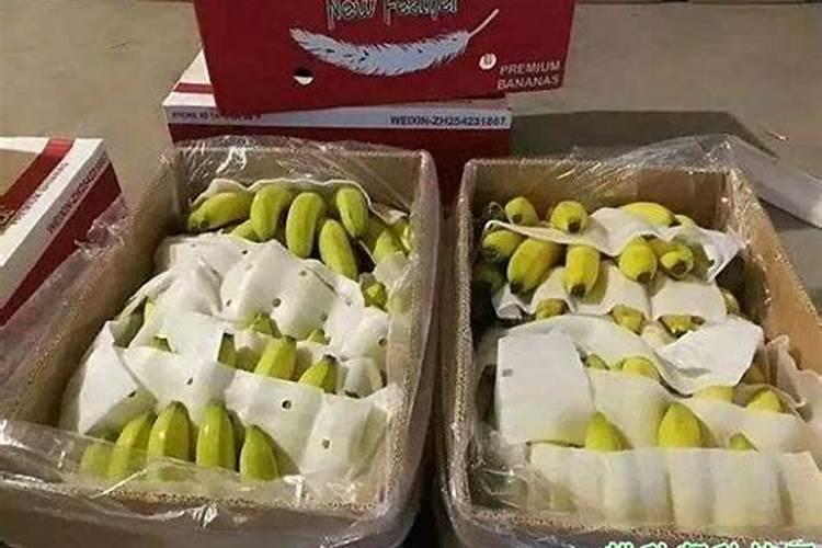 葡萄成熟期能用什么肥？