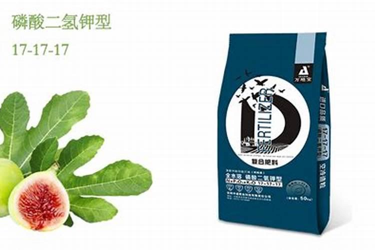 无花果的高产管理技术