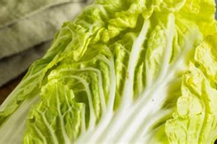 想要防治大白菜干心病,应该怎么防治呢？