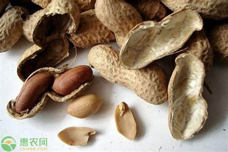 花生壳怎样发酵做肥料