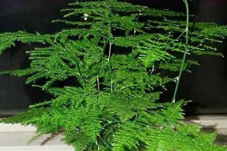 氮肥能提供能量吗