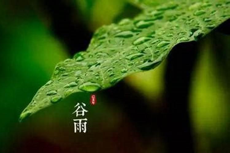 茶树的科学施肥方法