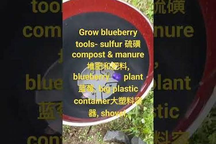 我想种植蓝莓,土地可以提前两个月施用硫磺粉吗