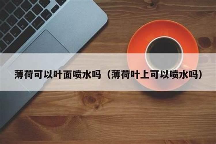 薄荷如何施肥