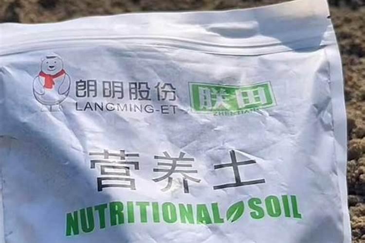 有机肥怎么施肥 有机肥如何施肥