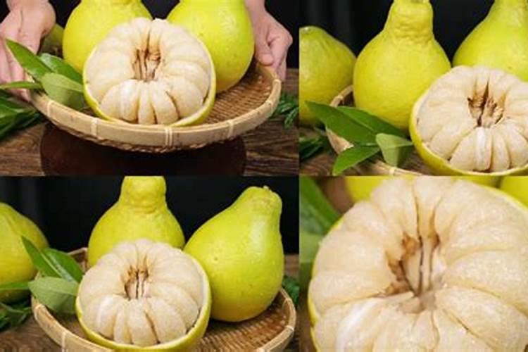 种植柚子需要什么条件？