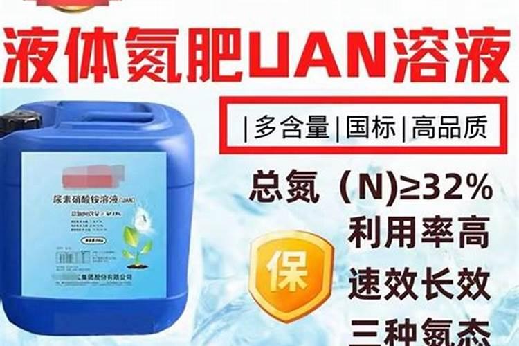 常见的氮肥有什么