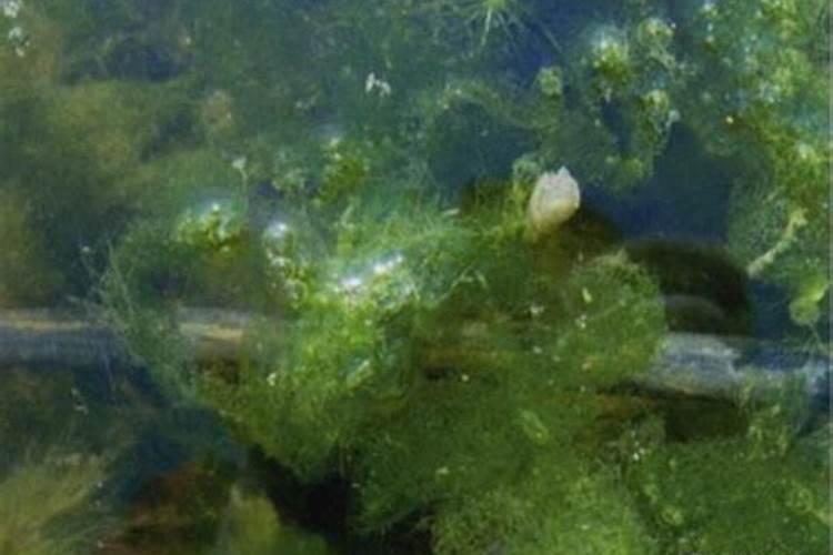 山东天达生物制药股份有限公司的系列产品