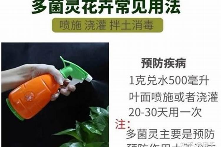 兰花防病怎样浇灌和喷叶面肥 谢谢朋友们