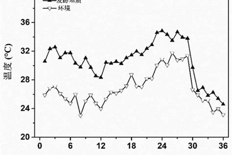 自制腐殖酸肥料 又环保又实用